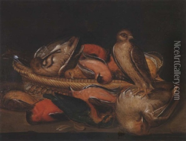 Etude D'oiseaux Morts Avec Un Faucon Oil Painting - Clara Peeters