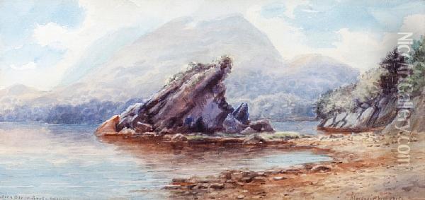 Colleen Bawn Rock, Killarney Oil Painting - Alexander Williams