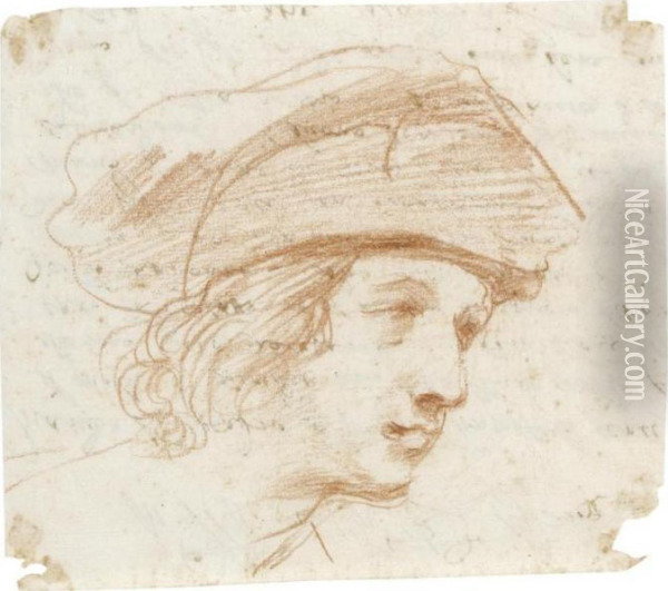 Head Of A Young Man, Almost In Profile, Wearing A Hat Oil Painting - Guercino