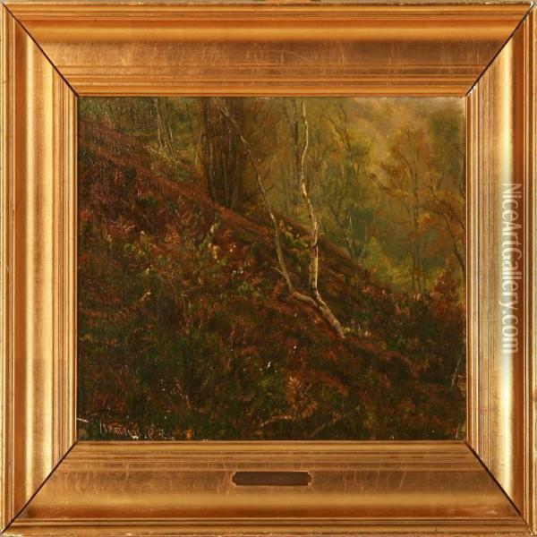 Forest Scene Oil Painting - Christian Zacho