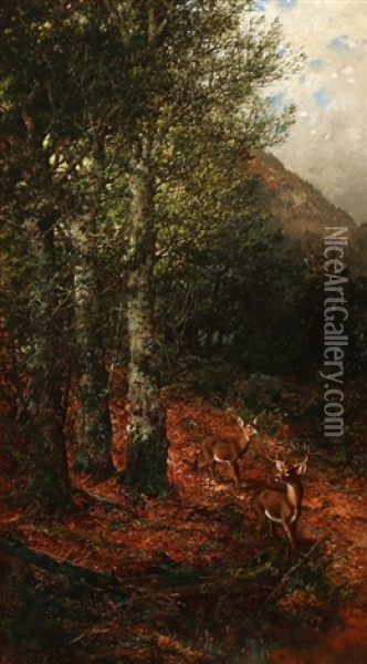 Mountainous Landscape With Whitetail Deer Oil Painting - William Louis Sonntag