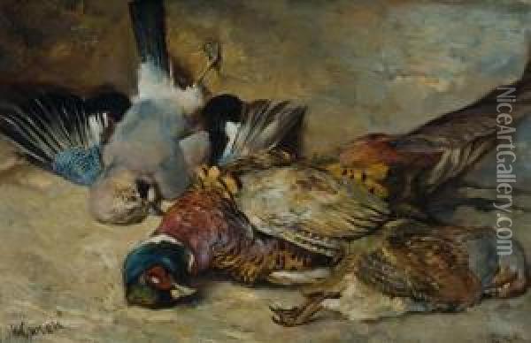 Nature Morte Depicting Three Birds. Oil Painting - Vaclav Soucek
