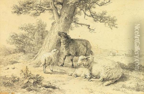 Ruhende Schafe Unter Baum Oil Painting - Eugene Joseph Verboeckhoven