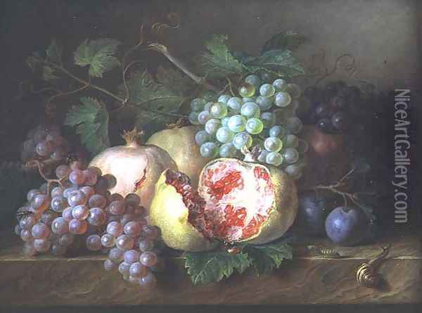 Still life of pomegranates, grapes and plums on a marble ledge Oil Painting - Cornelis van Spaendonck