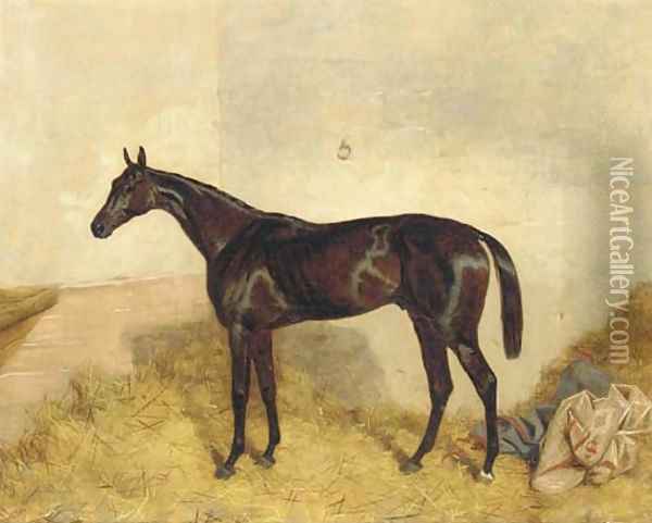 A dark bay racehorse in a loosebox Oil Painting - Harry Hall