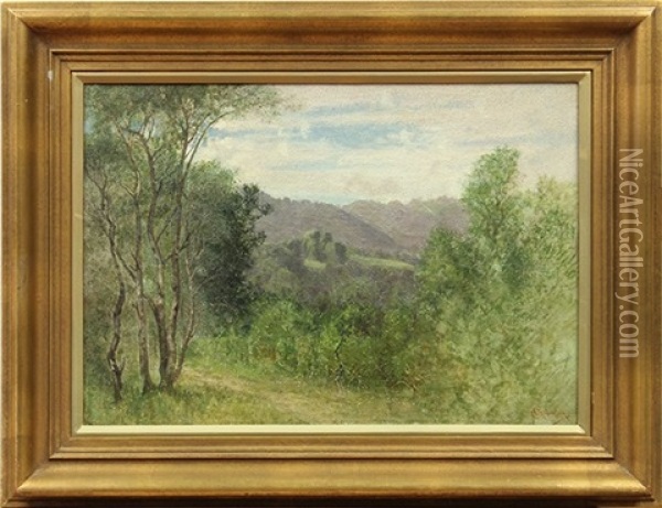 Marin Hills Oil Painting - Charles Dorman Robinson