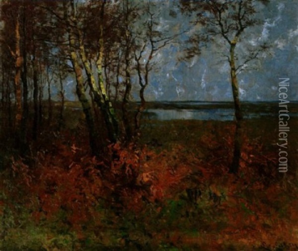 Herbstabend Am Bodden Oil Painting - Elisabeth Von Eicken