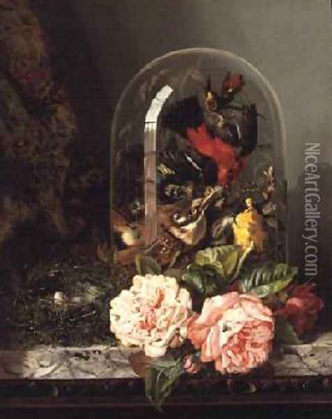 Still Life with Humming Bird in a Glass Dome Oil Painting - Edward Ladell