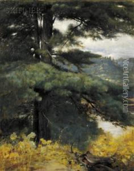 View At The Artist's Studio, Kezar Lake, Maine Oil Painting - Stephen A. Douglas Volk