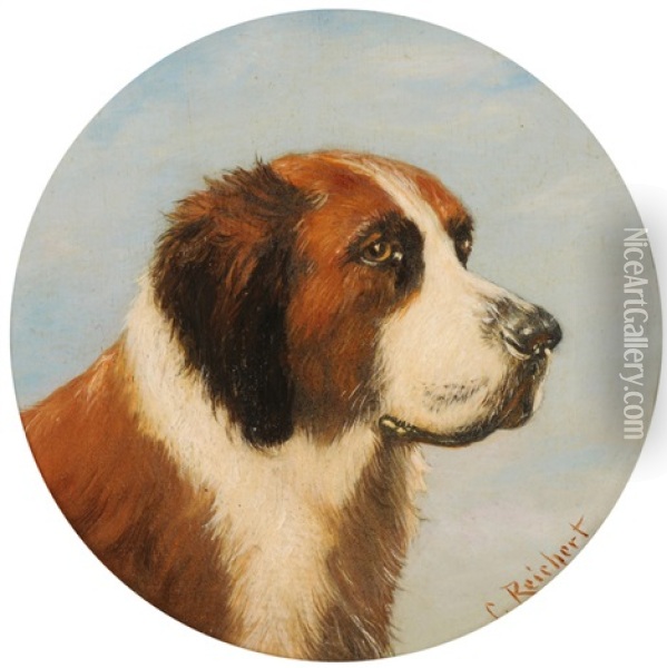 Bernhardinerhund Oil Painting - Carl Reichert