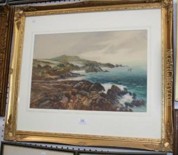 Coastal Landscape With Cliffs Oil Painting - John Shapland