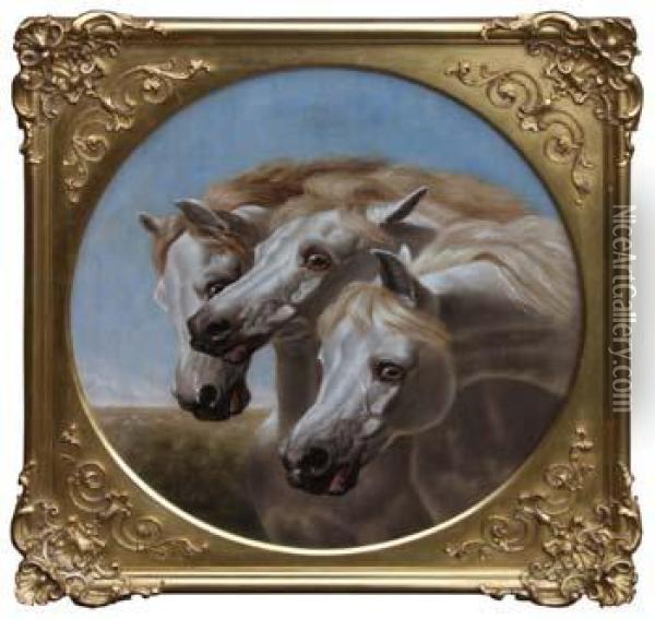 Pharaoh's Horses Oil Painting - John Frederick Herring Snr