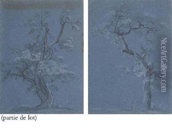 Suite De Six Etudes D'arbres Oil Painting - Jean-Baptiste Huet I