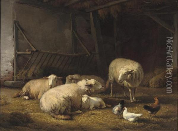 A Barn With Sheep And Chickens Oil Painting - Eugene Joseph Verboeckhoven