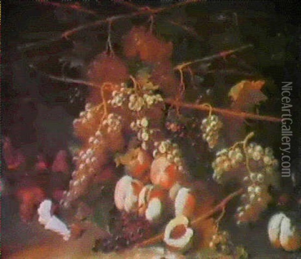 Tendrils Of Grapes, With Peaches And Funghi Oil Painting - Giovanni Battista Ruoppolo