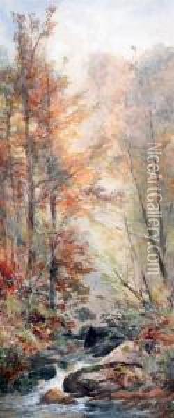 Woodland Streams Oil Painting - William Widgery