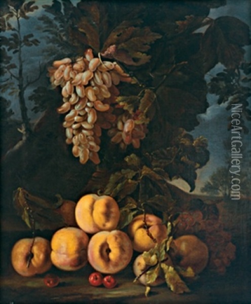 Natura Morta Con Uva E Pesche Oil Painting - Bartolomeo Castelli the Younger