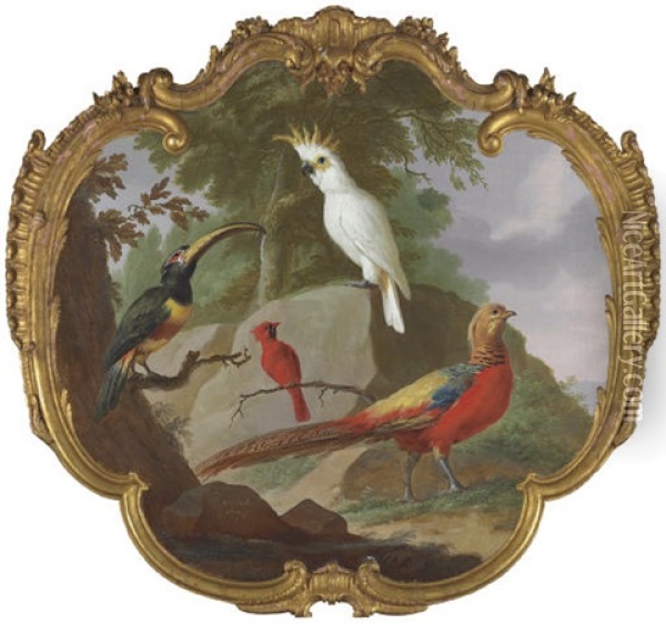 A Sulphur-crested Cockatoo, A Golden Pheasant, A Cardinal And A Toucan In A Landscape Oil Painting - Jacobus Vonck