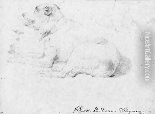 A dog lying down, with a partial subsidiary study of his forequarters in the opposite direction Oil Painting - Johann Heinrich Roos
