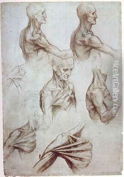 Muscles of the neck and shoulders 1515 Oil Painting - Leonardo Da Vinci