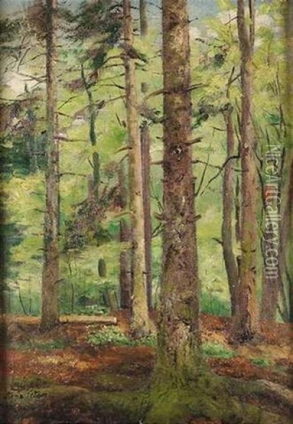 Wald Im Fruhling Oil Painting - Anna Peters