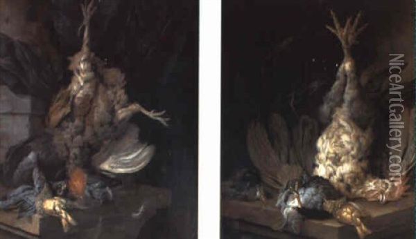 A Dead Grouse, Cockerel And Other Birds On Stone Ledges Oil Painting - Cornelis van Lelienbergh