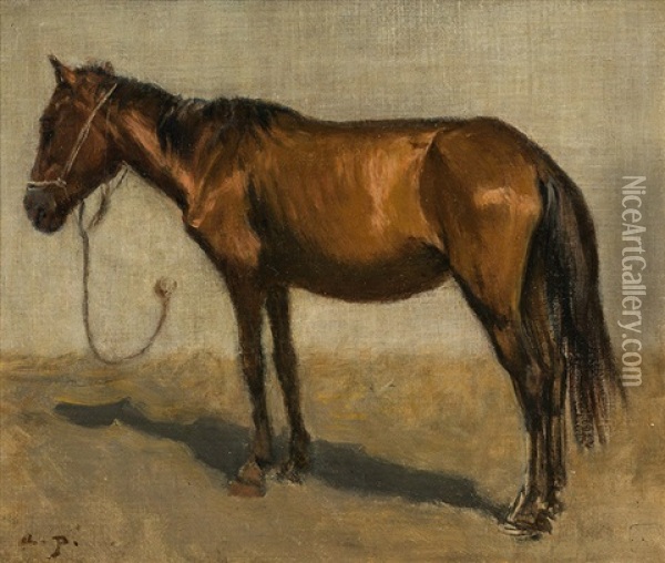 Studie Eines Pferdes Oil Painting - August Xaver Carl von Pettenkofen