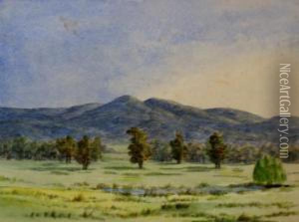 Pond And Pasture Oil Painting - Emma Minnie Boyd