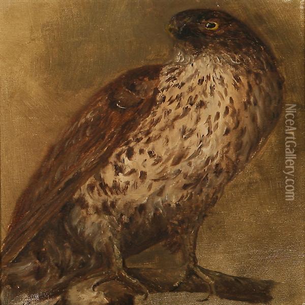 A Buzzard Oil Painting - Otto Haslund