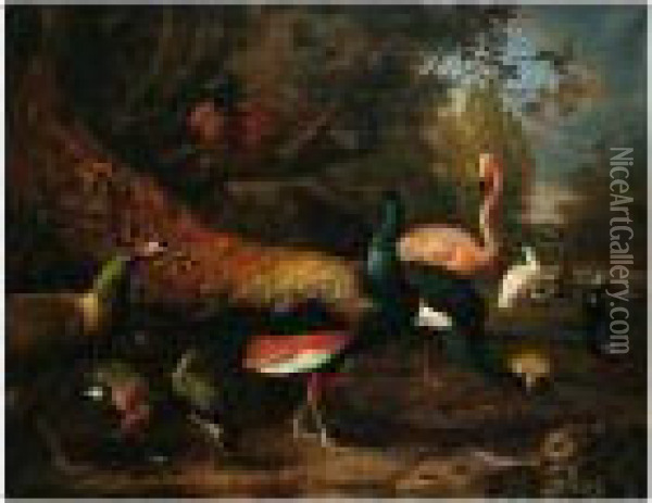 Exotic Fowl, Including A Peacock
 And Peahen, Flamingo, African Crane, Pheasant, Lapwing, Shoveller, 
Pelican And Tufted Duck In A Garden Setting Oil Painting - Melchior de Hondecoeter