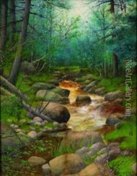 Woodland Brook Oil Painting - Neil Mitchell