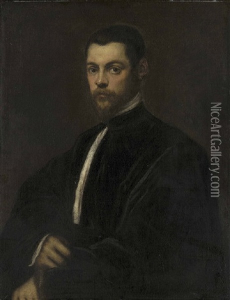 Portrait Of A Gentleman, Half-length Oil Painting - Domenico Tintoretto