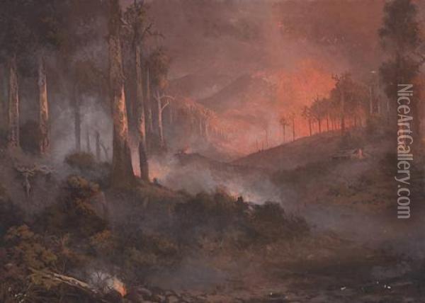 Bushfire, Gippsland, Victoria Oil Painting - Naylor Gill