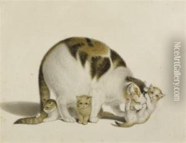 Mother Cat With Three Young Oil Painting - Gottfried Mind