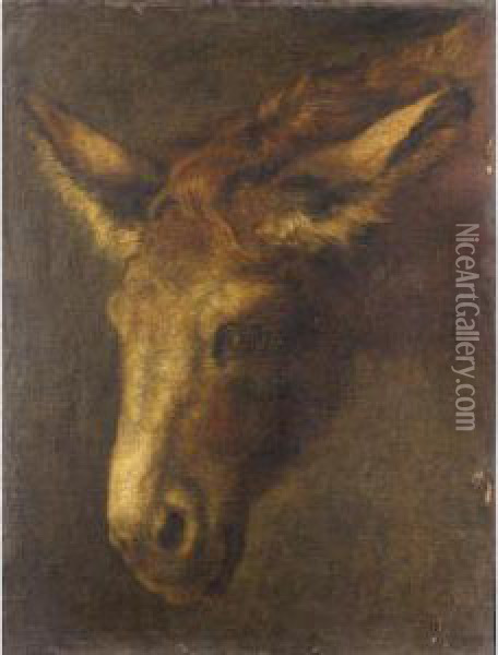 A Study Of The Head Of A Donkey Oil Painting - Peeter Boel