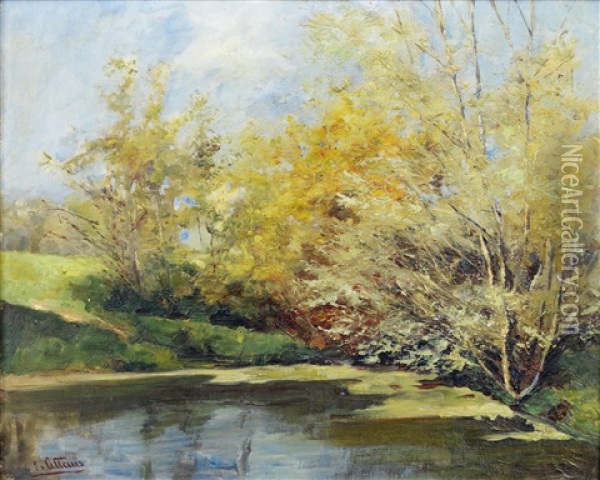 Teichlandschaft Oil Painting - Elisabeth Jordis Grafin von Attems