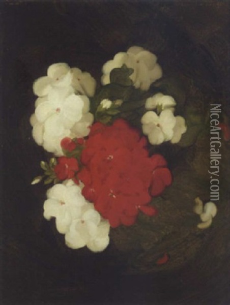 A Still Life Of Geraniums Oil Painting - Stuart James Park