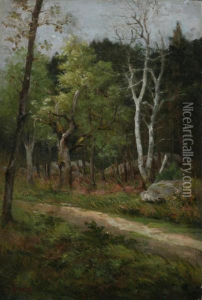 Barbizon Forest With Birch Tree Oil Painting - Alphonse Charles Masson