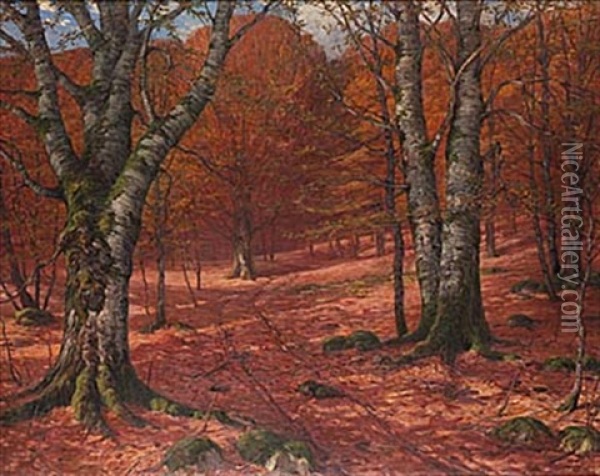 Bokskog Oil Painting - Vilhelm Dahlbom