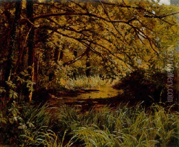 A Sunlit Wood Oil Painting - Henri Biva