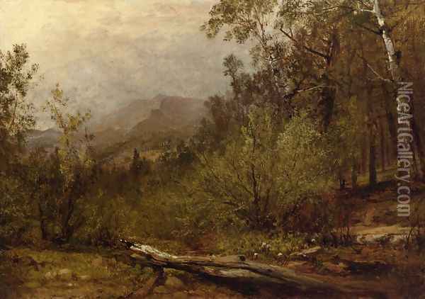 Trotter's Spring, Colorado Oil Painting - John Frederick Kensett