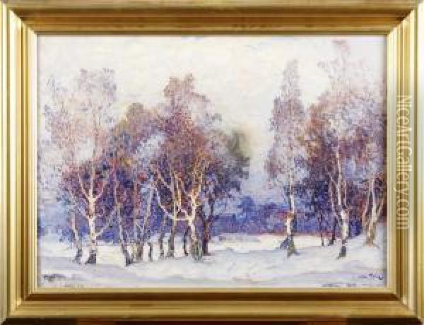 Vinterlandskap Oil Painting - Axel Peter