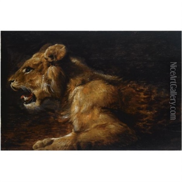 A Study Of A Reclining Lioness Oil Painting - Jan Fyt