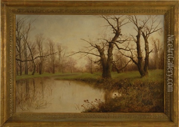Trees By A Riverbed Oil Painting - Francesco Capuano