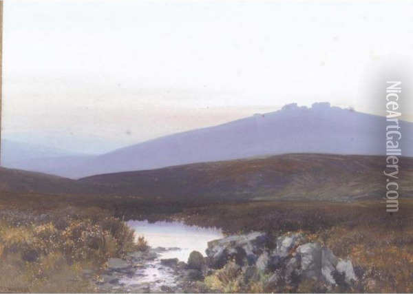 Taw Marsh, Belston Torr Oil Painting - Frederick John Widgery