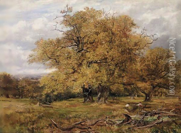 Cadzow Forest, Autumn Oil Painting - James Docharty