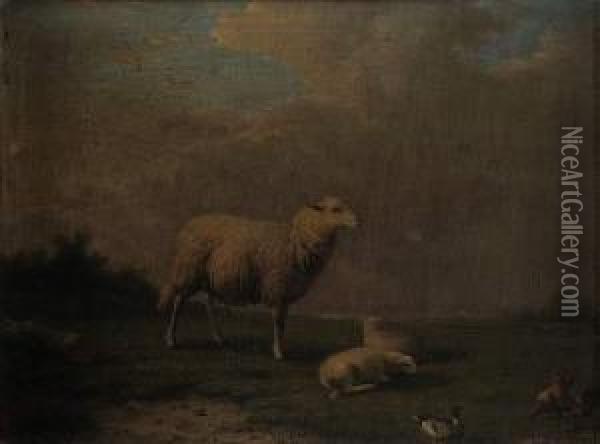 Le Mouton Oil Painting - Francis Vandeverdouch