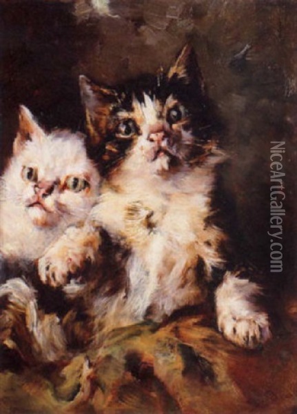 Kittens At Play Oil Painting - Alejandro Seiquer
