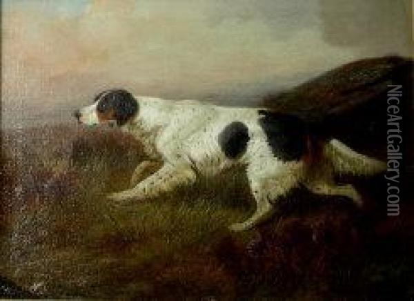 Hunting Dog In Moorland Landscape Oil Painting - Colin Graeme Roe