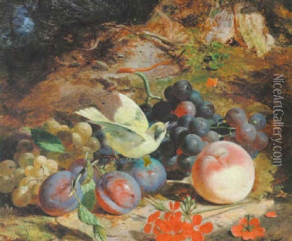 Mixed Fruit, A Canary And A Butterfly On A Woodland Floor Oil Painting - Joseph Denovan Adam